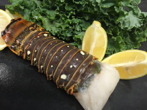 Bahamas Lobster Tails sold by King Tide Seafood Provisions